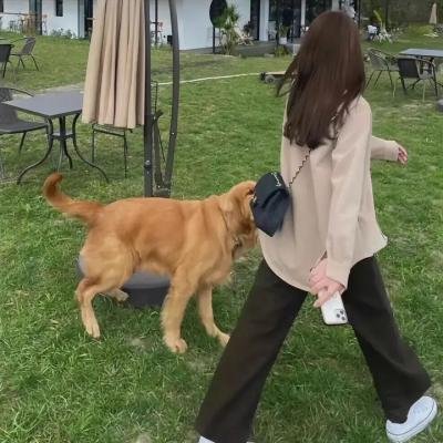我们的船说